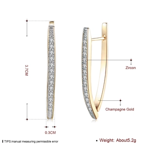 Elegant champagne gold hoop earrings with zircon stones and streamlined long design