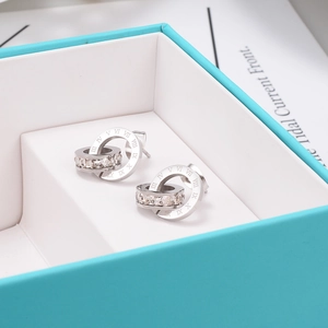 Macro view of silver interlocking double ring earrings with Roman numerals and zircons