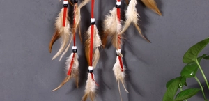 Detailed close-up of brown and white feathers with red string on a dreamcatcher