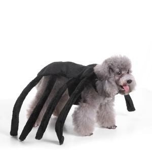 Spider-shaped black plush pet costume detail on a grey poodle, professional studio shot