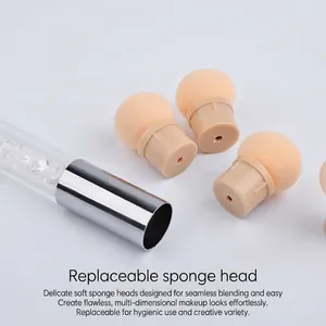 Pinceau éponge manucure dégradé avec têtes rechargeables et manche en acrylique