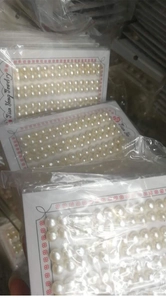 Bulk packaging of natural white freshwater button pearls on white card in clear bags