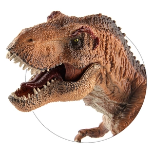 Realistic T-Rex dinosaur head model with detailed skin texture and scales on white background