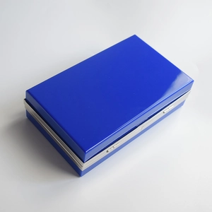 Detail view of the silver metal hinge and glossy finish of the acrylic clutch bag