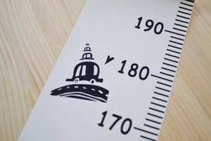 Close-up of canvas height chart showing measurement scales and cartoon car illustration