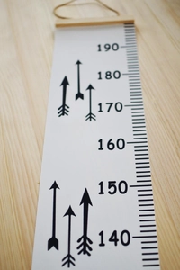 Detailed scale view of the canvas height chart featuring numbers 140 to 190 with wood frame