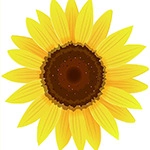 Detail of sunflower pattern on non-slip metal Christmas stocking fireplace hooks