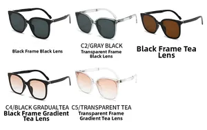 Detailed lineup of folding sunglasses in various frame colors with UV protection lenses