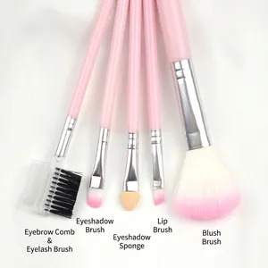 5-piece pink makeup brush set with blush, eye shadow and lip brushes on white background