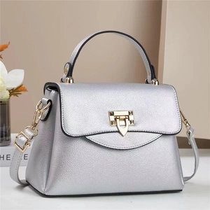 Detailed macro of silver pebble leather texture and gold shield buckle on the crossbody bag
