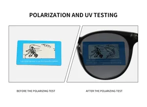 Polarization test card showing fish pattern through polarized oval sunglass lenses