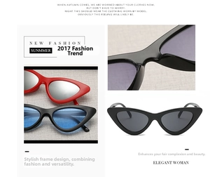 Detail view of retro cat-eye sunglasses with thick frames in multiple colors and textures
