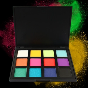 Professional 12-color eyeshadow palette with matte black casing and vibrant powder explosion