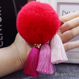 Close-up van een rode harige pompon sleutelhanger met gekleurde kwastjes in de hand.