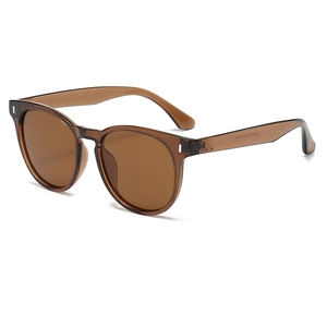 Vintage Oval Polarized Sunglasses UV400 Protection TAC Lens PC Frame Fashion Eyewear For Men And Women Outdoor Driving