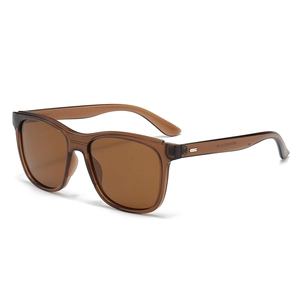 Klassische quadratische, braune, transparente Sonnenbrille für Herren mit Polgläsern