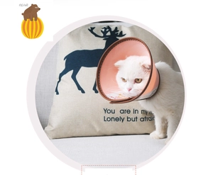 Pink waterproof pet Elizabeth collar with brown leather trim worn by a white cat