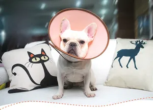 Pink soft Elizabeth collar for dogs with brown leather trim shown on a French Bulldog
