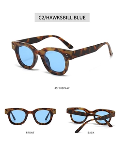 Drei-Winkel-Display der ovalen Schildpatt-Sonnenbrille mit blauen Gläsern und Nieten