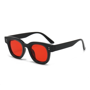 Retro Oval Sonnenbrille PC Rahmen AC Linse UV400 Schutz Mode Trendy Niete Brillen Für Damen Herren Outdoor Reisen Party