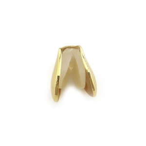 Detail view of 18K gold plated hip hop single tooth grillz with white silicone cushion
