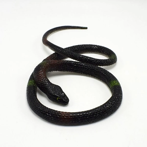 Macro view of realistic TPR snake toy showing detailed black scales and colorful markings