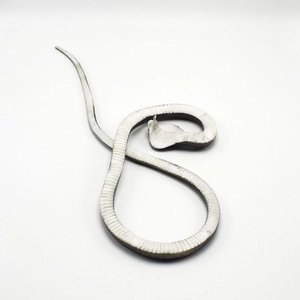 Detailed texture of TPR realistic cobra toy with grey scales and cobra hood design