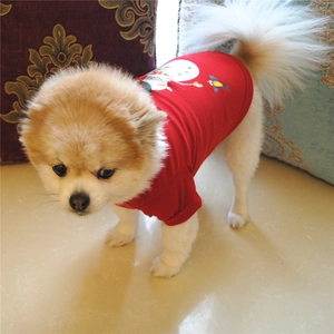 Pomeranian dog wearing a red Christmas t-shirt with a snowman and bird print details