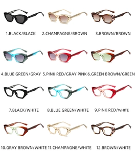Detailed catalog showing twelve color variations of trendy polygon sunglasses and frames