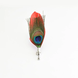 Vibrant red and peacock feather brooch with a silver metal clasp on white background