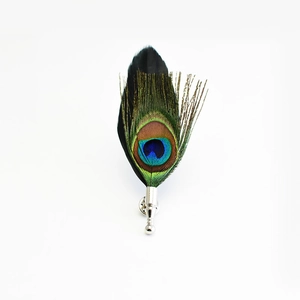 Elegant natural peacock feather brooch with silver metal pin on white background