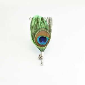 Close-up of a natural peacock feather brooch with a silver metal pin on a white background