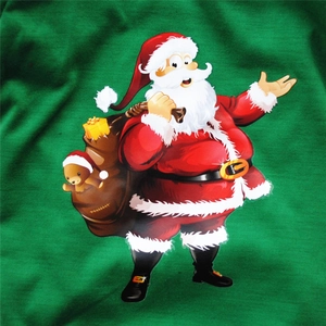 Detail of Christmas Santa Claus print on green dog t-shirt with teddy bear and gift bag