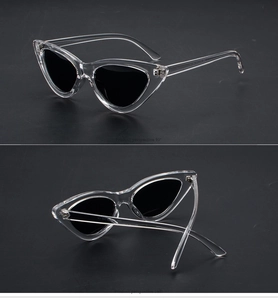 Detail view of transparent cat eye sunglasses showing temple inscriptions and hinges