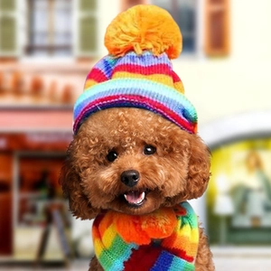 Detailopname van regenboog gebreide hondenmuts en sjaal set met gele pompon voor puppy's