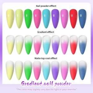 Solid mirror nail powder set showing 9 gradient colors in glossy and matte finishes