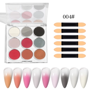 Macro view of 9-color solid mirror nail powder palette with sponge brushes and nail tips