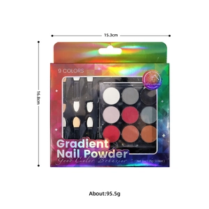 Professional 9-color solid gradient nail mirror powder palette set with sponge applicators