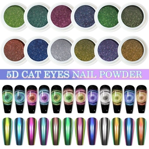 5D Chamäleon Katzenaugen Nagelpulver Set mit 12 Farben für professionelle Maniküre-Kunst