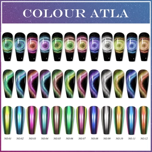 Profi-Nageldisplay mit 12 Farbverläufen von 5D Chamäleon Magnet-Katzenaugen-Puder für Nägel