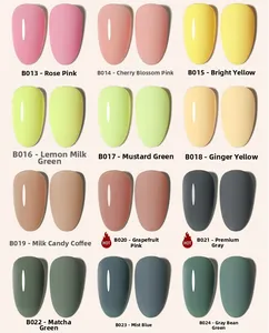Glossy and matte nail polish palette featuring shades B013 to B024 in 12 vibrant colors