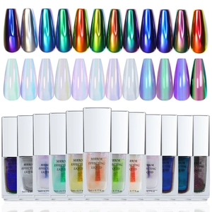 Nagel Flüssig Spiegel Puder Aurora Chrom Metall Effekt Polarisierend Magie Fee Pigment Maniküre Dekoration
