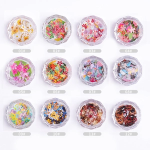 Set van 12 potjes kleurrijke nail art houtpulpvlokken in bloem-, ster- en lettervormen
