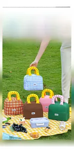 Close-up of contrast plaid lunch bag with zipper and handle on picnic grass