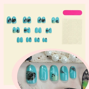 Katzenauge-Nagelset mit hellblauen ovalen Seehund-Designs und 24 künstlichen Nägeln