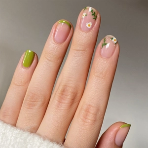 Press On Nails False Nails Daisy Flower Green French Tip Square Round Full Cover Daily Wear For Women