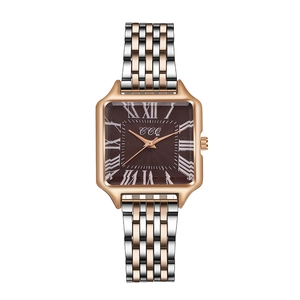 Detail of square quartz watch with two-tone metal strap and brown Roman numeral dial