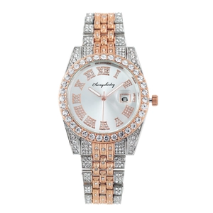 Luxury two-tone steel watch with diamonds, Roman numerals and calendar display