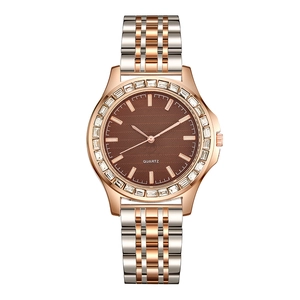 Detailed view of bicolor steel watch strap with crystal-encrusted bezel and brown dial