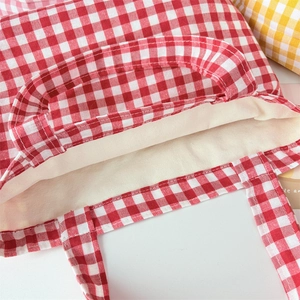 Close-up of red checkered canvas lunch bag with cotton lining and reinforced handles